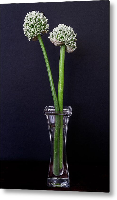 Vase Metal Print featuring the photograph Onion Flowers by Carol Wood