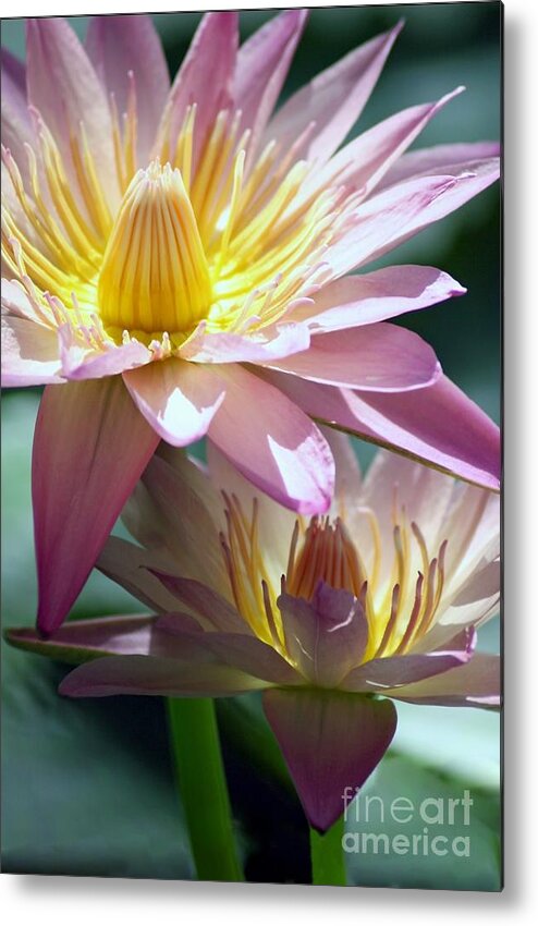 Floral Metal Print featuring the photograph Open Heart by Mary Lou Chmura
