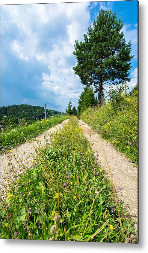 Road Metal Print featuring the photograph Overgrown Rural Path Up a Hill by Andreas Berthold