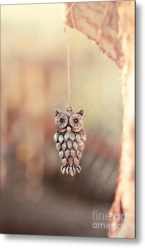 Owl Metal Print featuring the photograph Owl Spirit by Trish Mistric