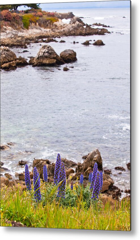 Shoreline Metal Print featuring the photograph Pacific Grove Coastline by Melinda Ledsome