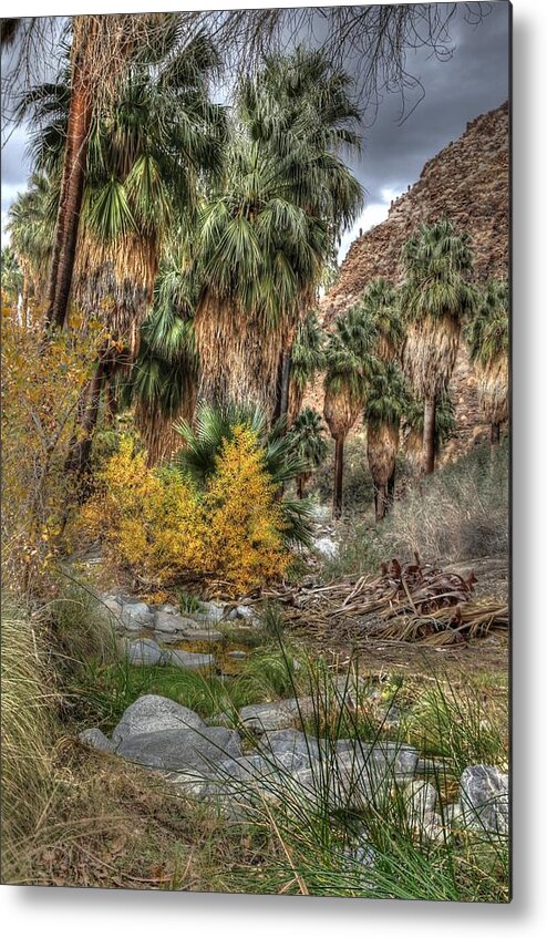 Palm Springs Photos Metal Print featuring the photograph Palm Springs Oasis in HDR by Matthew Bamberg