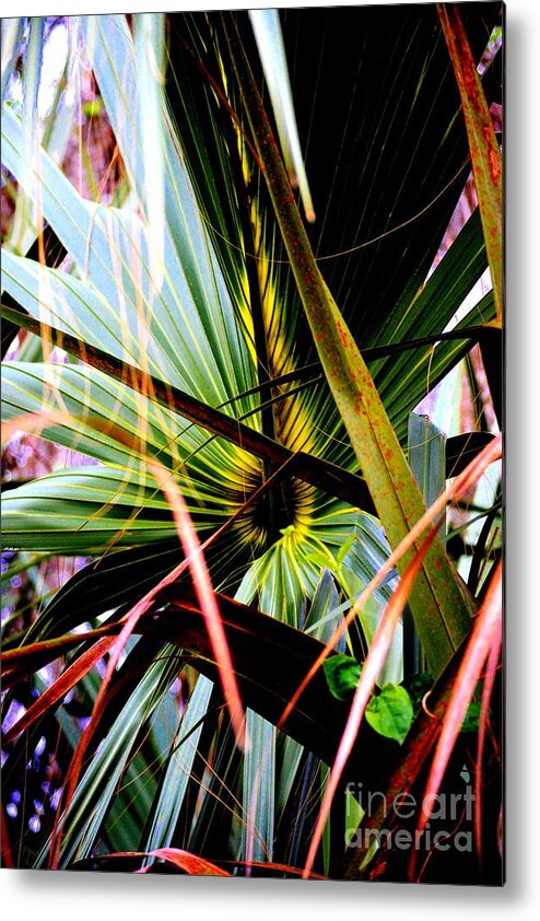 Nature Metal Print featuring the photograph Palm Through The Fronds by Tamara Michael