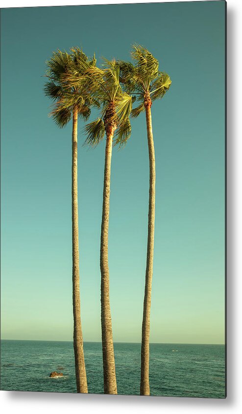 Tranquility Metal Print featuring the photograph Palm Trees By The Pacific Ocean by Beth D. Yeaw