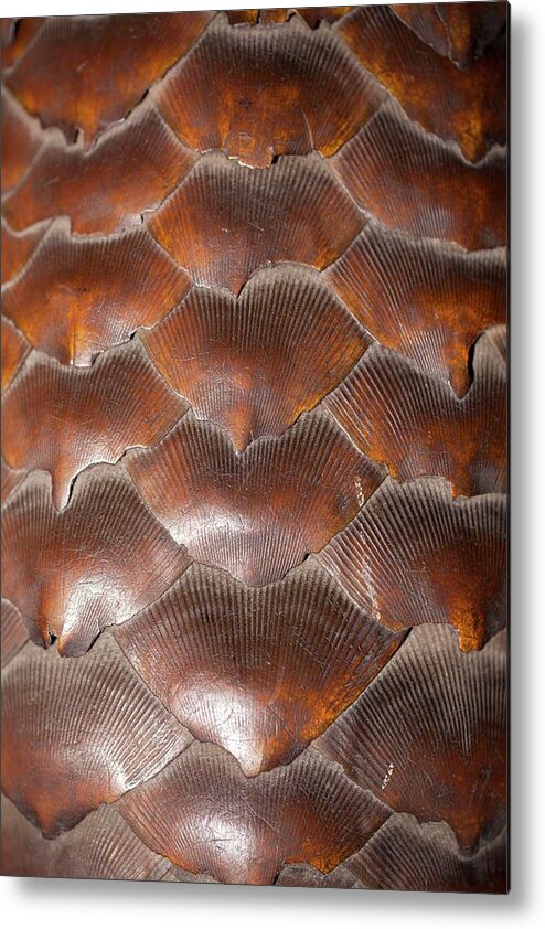 Asian Medicine Metal Print featuring the photograph Pangolin Scales by Paul D Stewart