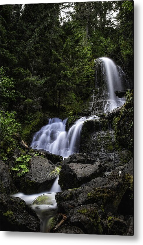 Panther Falls Mt Rainer Metal Print featuring the photograph Panther Falls by James Heckt