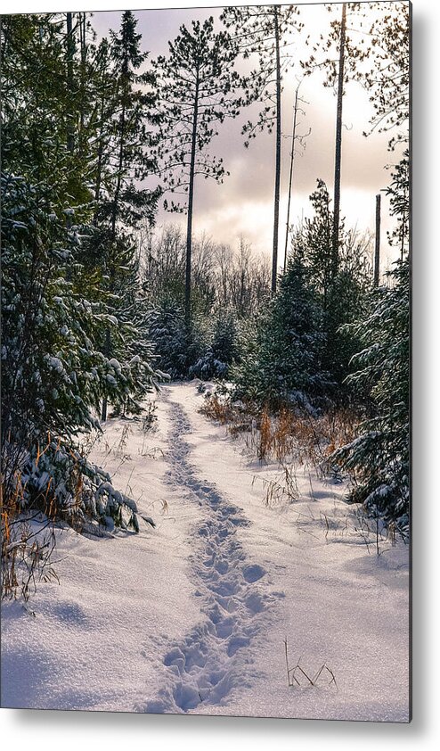 Snow Metal Print featuring the photograph Pathways by Jody Partin