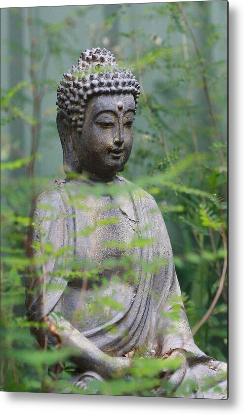 Peace Metal Print featuring the photograph Peaceful Repose by Keith Hawley