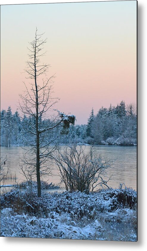 Winter Scene Metal Print featuring the photograph Peaceful Winters Morn by Beth Sawickie