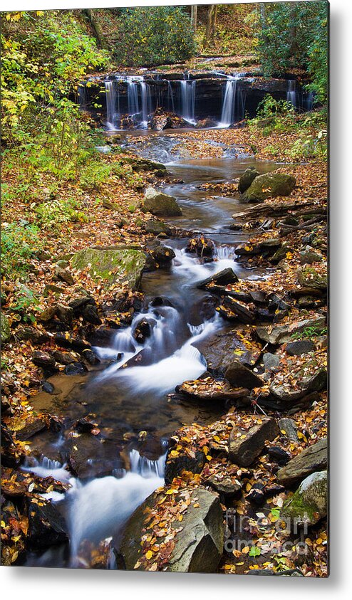 Pearson Falls Metal Print featuring the photograph Pearson Falls Blue Ridge Mountains North Carolina by Dawna Moore Photography