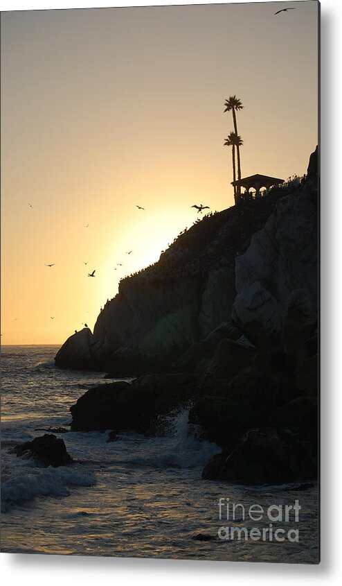 Pismo Beach Metal Print featuring the photograph Pelicans Gliding At Sunset by Debra Thompson