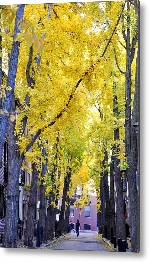 Philadelphia Metal Print featuring the photograph Philly in the Fall by Andrew Dinh