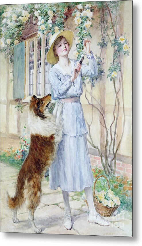 Rose Metal Print featuring the painting Picking Roses by William Henry Margetson
