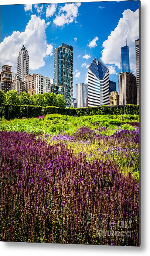 2012 Metal Print featuring the photograph Picture of Chicago Skyline with Lurie Garden Flowers by Paul Velgos
