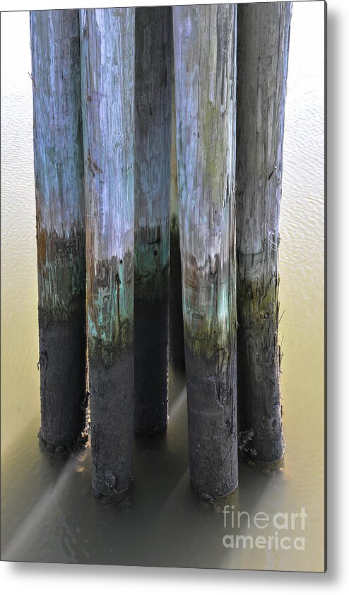 Pilings Metal Print featuring the photograph Salt Water Piling by Dale Powell