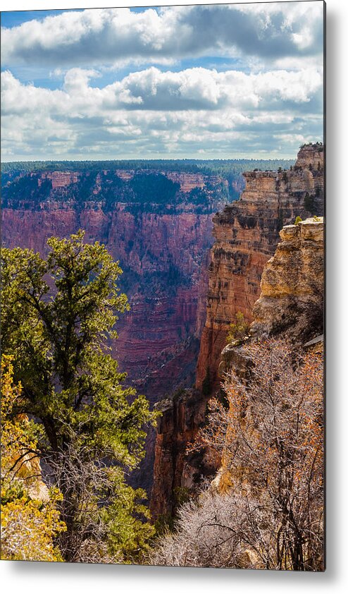 Arizona Metal Print featuring the photograph Pines and Cliffs at the Grand Canyon by Ed Gleichman