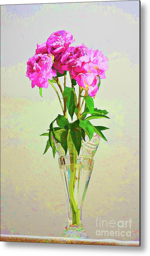 Peony Metal Print featuring the photograph Pink Peony flowers by Linda Matlow