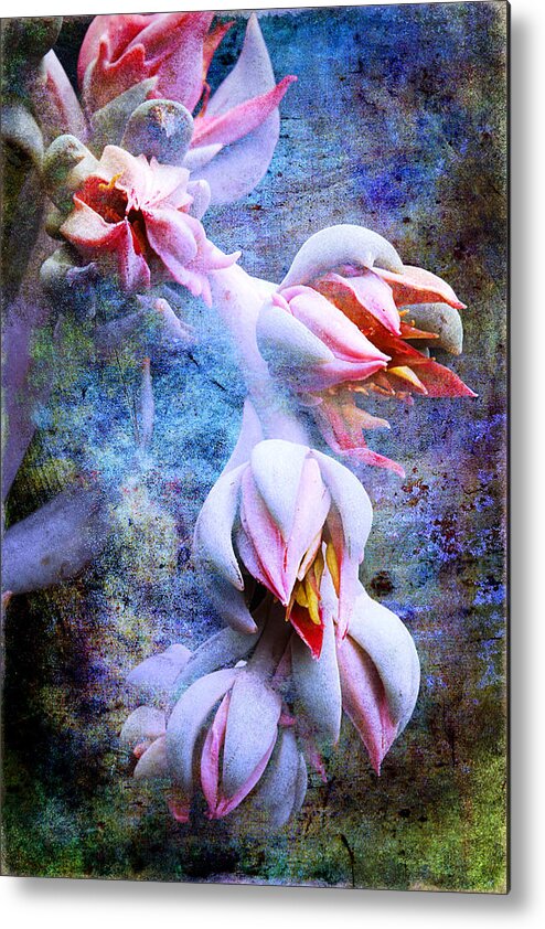 Flower Metal Print featuring the photograph Pink Succulent Floral Abstract by Phyllis Denton