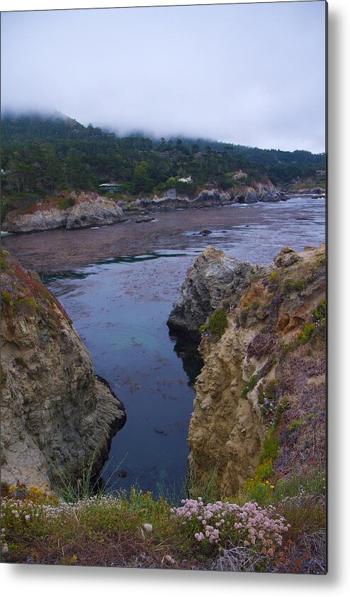 Point Lobos Metal Print featuring the photograph Point Lobos 5096 by Tom Kelly