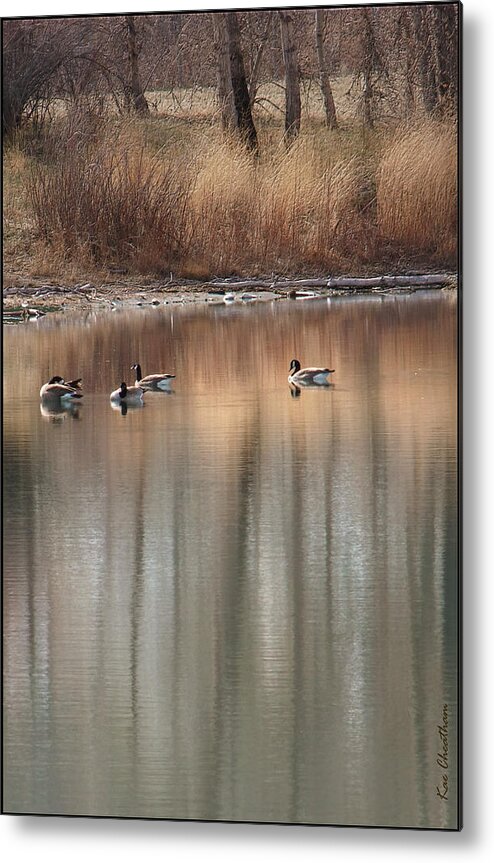 Landscape Metal Print featuring the photograph Pond Reflections by Kae Cheatham