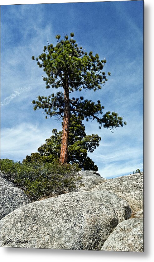 Beauty In Nature Metal Print featuring the photograph Ponderosa Pine and Granite Boulders by Jeff Goulden
