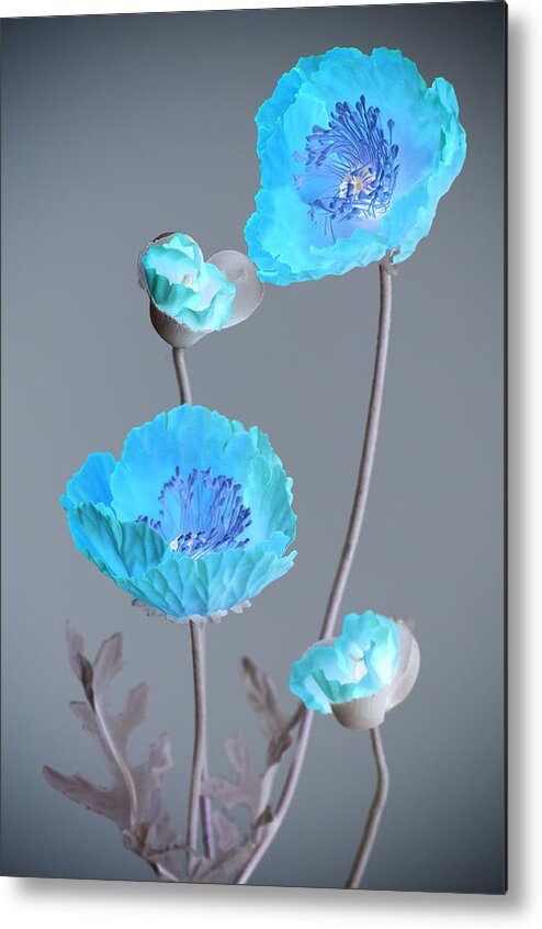 Flower Metal Print featuring the photograph Poppy Family by Kathleen Messmer