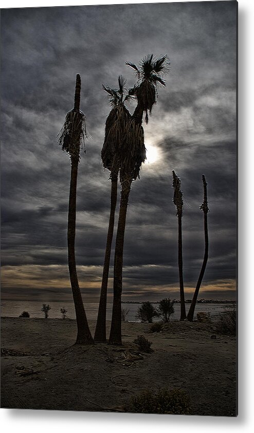 Grim Metal Print featuring the photograph Postcard from the Apocalypse by Mike Trueblood