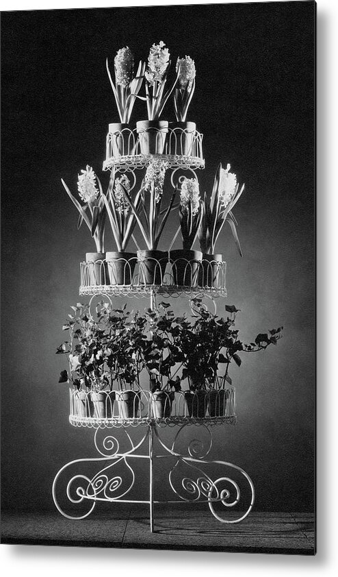 Interior Metal Print featuring the photograph Potted Flowers On A Wrought Iron Stand by The 3
