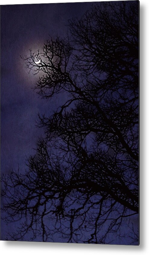 Moon Metal Print featuring the photograph Purple Nights by Melanie Lankford Photography