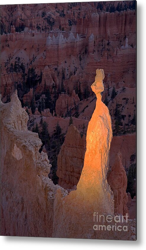 Autumn Metal Print featuring the photograph Rabbit Sunset Point Bryce Canyon National Park by Fred Stearns
