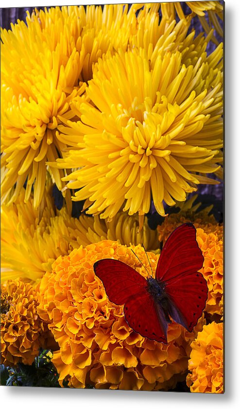 Red Butterfly Metal Print featuring the photograph Red butterfly on African Marigold by Garry Gay