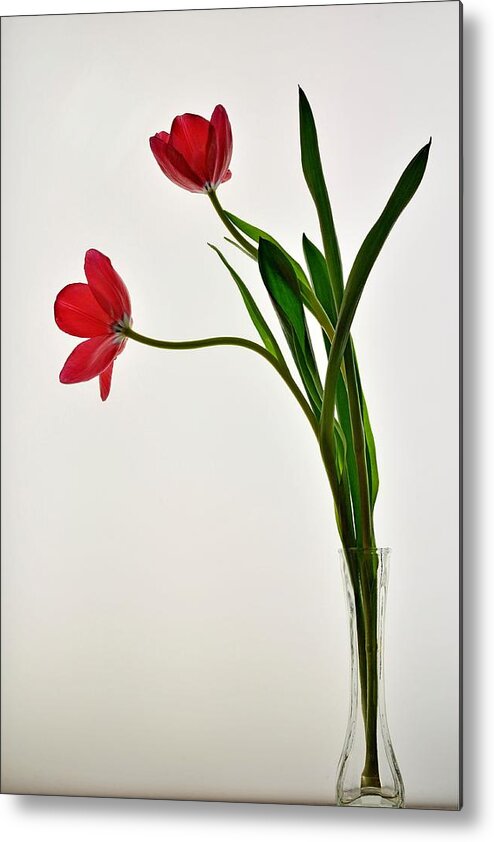 Flower Metal Print featuring the photograph Red Flowers in Glass Vase by Phyllis Meinke