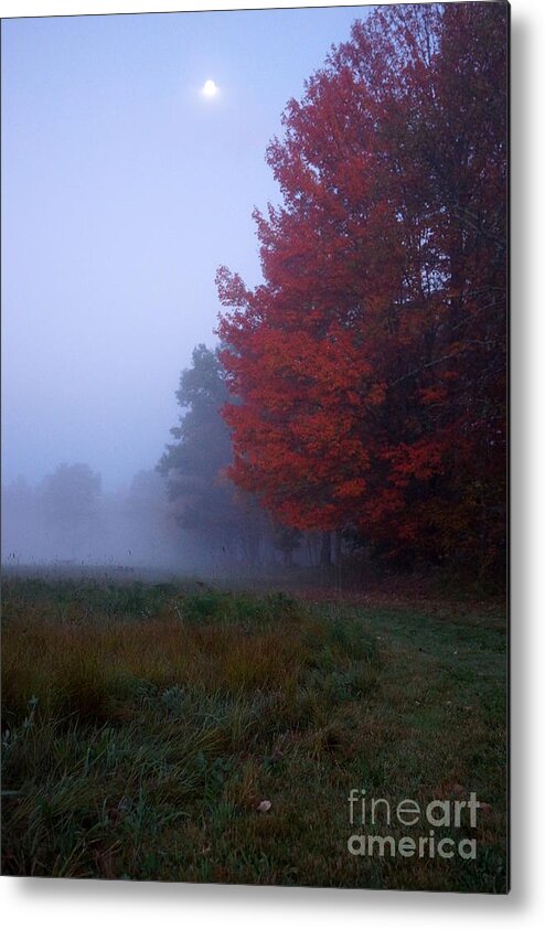 Newhampshire Metal Print featuring the photograph Red Foliage Foggy Field by Kerri Mortenson
