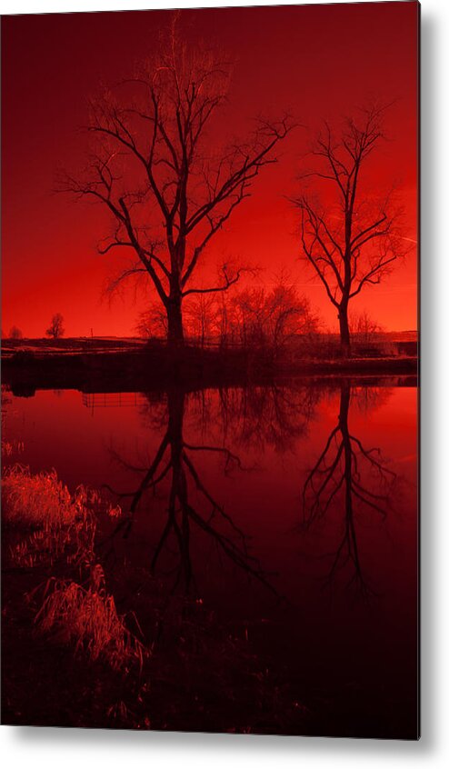 Lake Metal Print featuring the photograph Red Reflections by Miguel Winterpacht