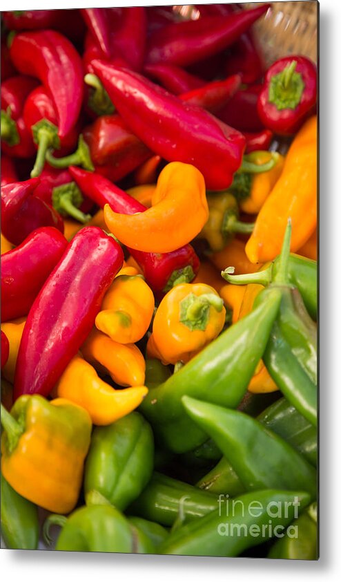 Red Metal Print featuring the photograph Red Yellow Green Peppers Together by Rebecca Cozart