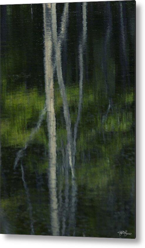 Trees Metal Print featuring the photograph Reflections by Skip Tribby