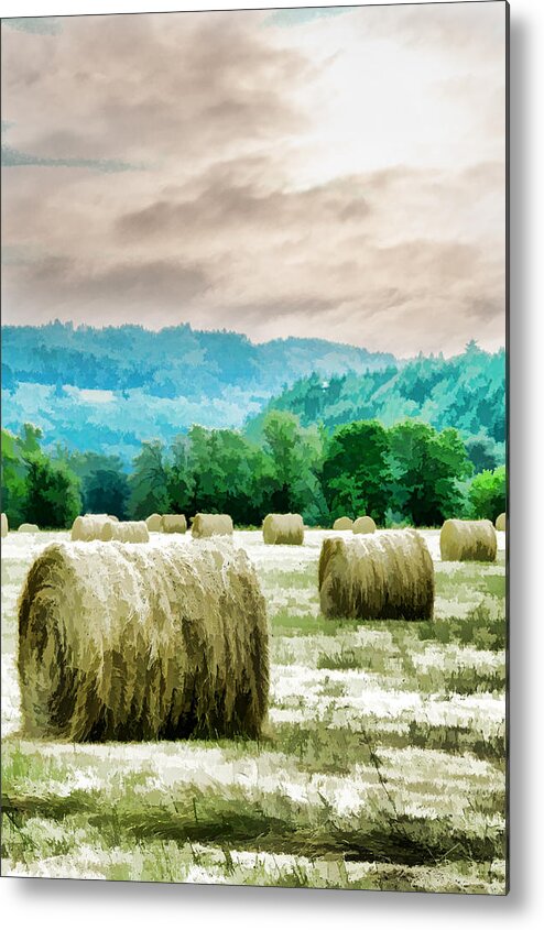 Rolled Metal Print featuring the photograph Rolled Bales by Mick Anderson