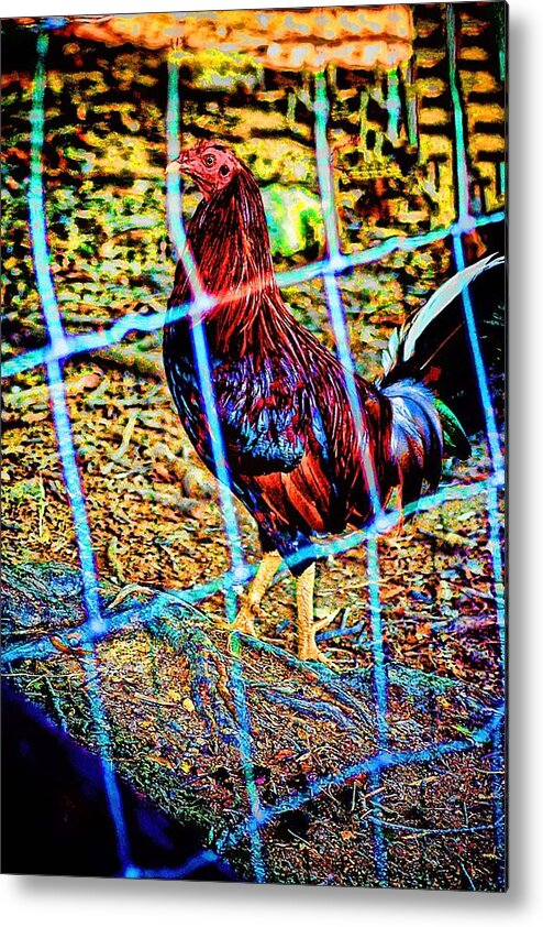 Lesa Fine Metal Print featuring the photograph Rooster Red Art by Lesa Fine