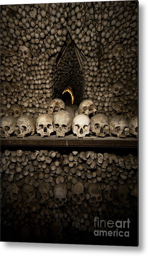 Skull Metal Print featuring the photograph Row of human skulls and bones by Jaroslaw Blaminsky