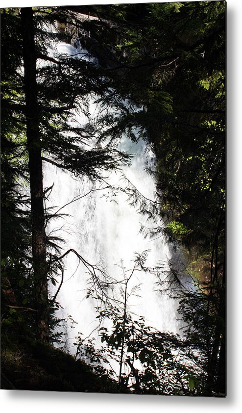 Waterfalls Metal Print featuring the photograph Rushing Through the Trees by Edward Hawkins II