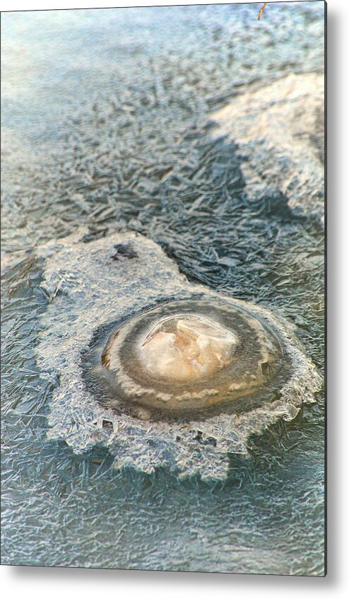 Ice Metal Print featuring the photograph Salt Water Ice Bubble by Beth Venner