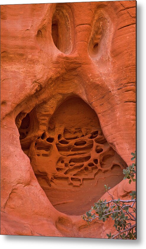 00559250 Metal Print featuring the photograph Sandstone Red Rock Canyon by Yva Momatiuk John Eastcott