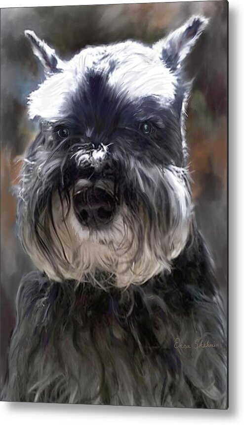 Dogs Metal Print featuring the painting Schnauzer Portrait by Portraits By NC