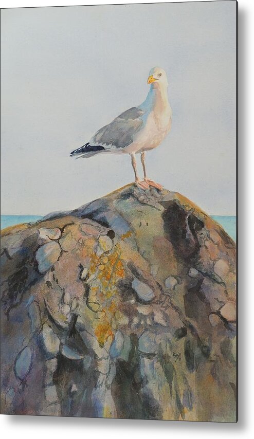 Brenton Point Metal Print featuring the painting Herring Seagull Brenton Point Newport RI by Patty Kay Hall