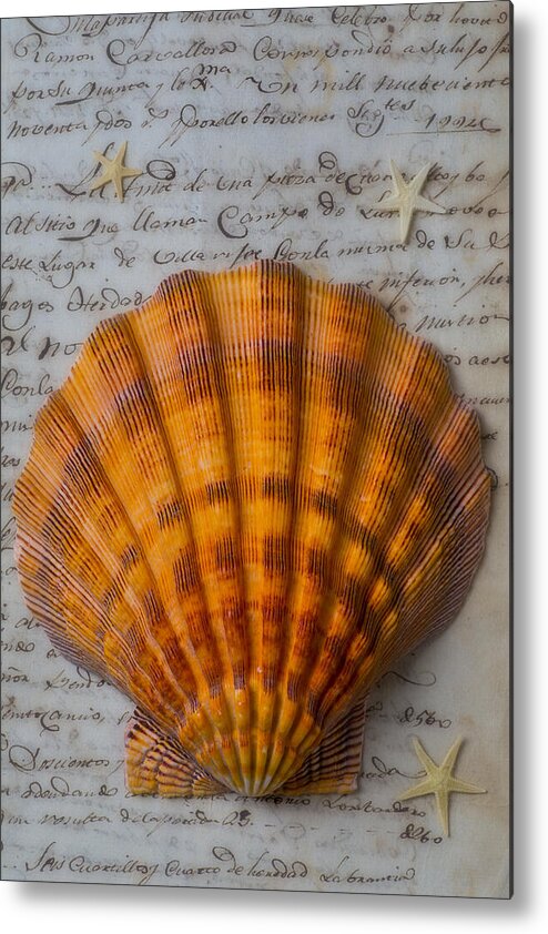Seashells Metal Print featuring the photograph Seashell and words by Garry Gay