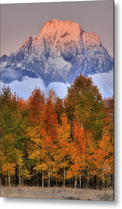 Mount Moran Metal Print featuring the photograph Seasons Change by Aaron Whittemore