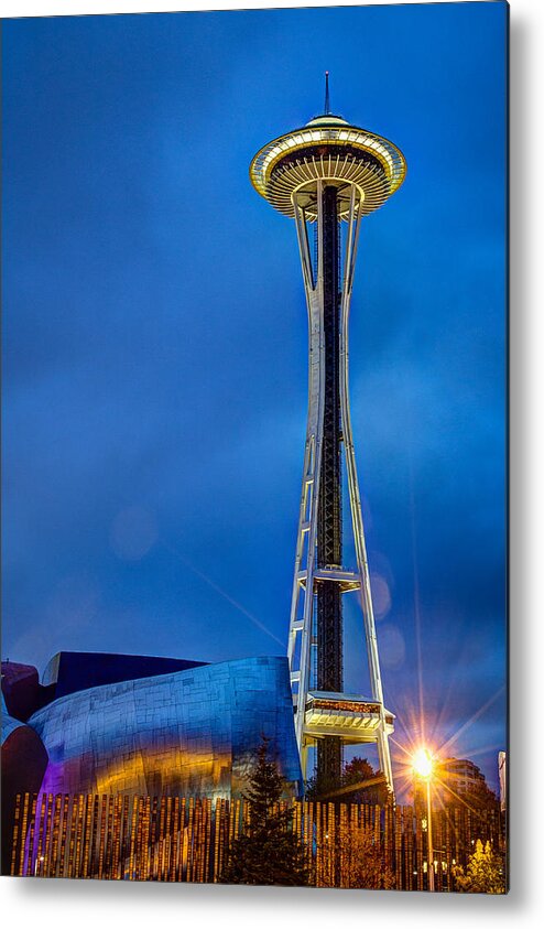 2014 Metal Print featuring the photograph Seattle Impressions by Wade Brooks