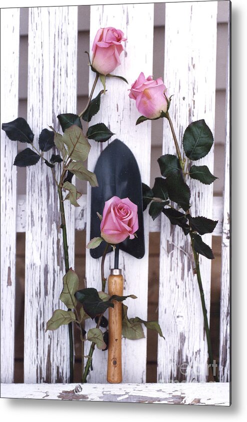 Shabby Chic Romantic Photography Metal Print featuring the photograph Shabby Chic Cottage Romantic Pink Roses Garden Tools by Kathy Fornal