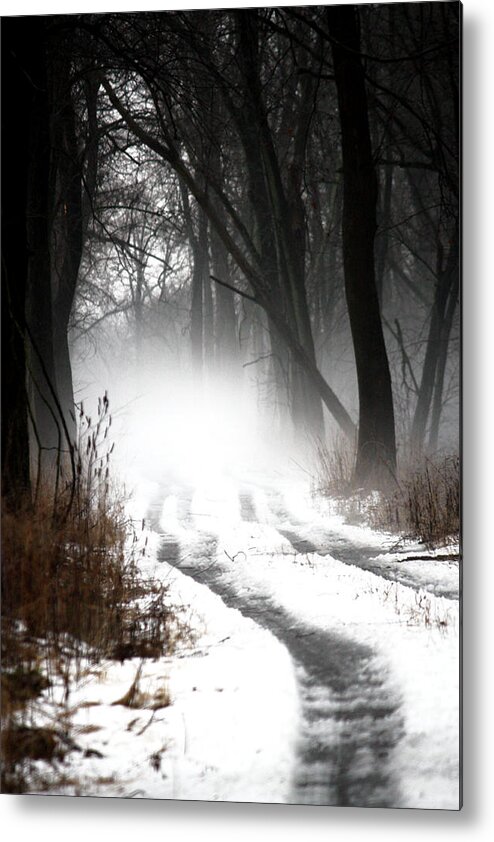 Trees Metal Print featuring the photograph Shadows and Mist at Mentha by Penny Hunt