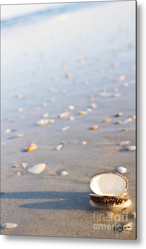 Sea Shell Metal Print featuring the photograph Shells 02 by Melissa Fae Sherbon